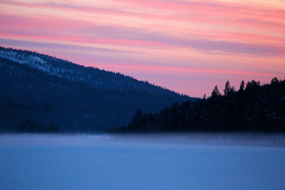 29196783_10156182591197505_6178484152363384832_n